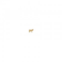 Planche Vache-Suisse petite