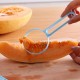 Coupe Eplucheur Melon