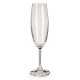 Flutes à Champagne